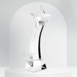 cúp lưu niệm ngôi sao cong