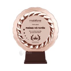 Bảng vinh danh cho đơn vị xuất sắc BVD21
