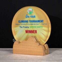 Kỷ niệm chương gỗ hình tròn KNC22